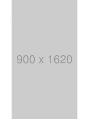 dress_png159