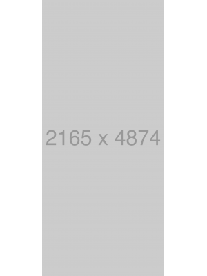 dress_png169